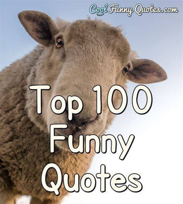 100 Funny Quotes About the Youngest Child That Will Brighten Your Day Lets Learn Slang