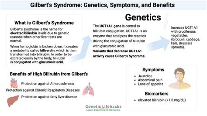 Did Nick Gilbert die from a Genetic Condition?